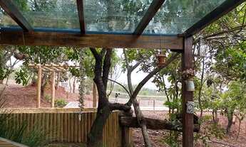 Imagem 4: Chácara em Nova Fátima - município de Hidrolândia - Goiás