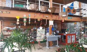 Imagem 6: PARAÍSO VERDE NO MOSQUEIRO