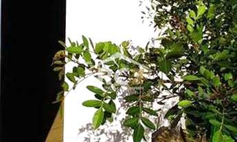 Imagem 6: Jardim Terra Branca