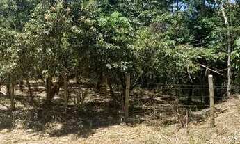 Imagem 4: Vendo Chácara 5000 mts² em Córrego Sete - Vila Velha