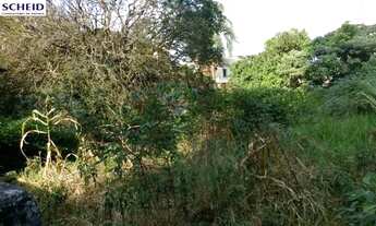 Imagem 7: Terreno comercial próximo ao cento, condução na porta