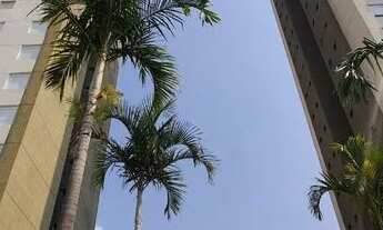 Imagem: Apartamento Taquaral