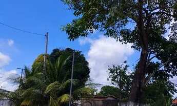 Imagem 2: Alugo casa na Unidade 203 - Cidade Operária