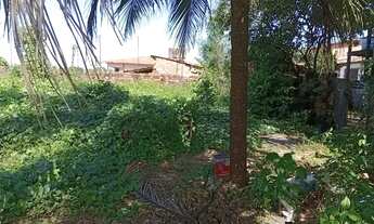 Imagem 6: Lote 10m x 25m Novo Cohatrac preço de oportunidade