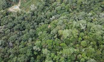 Imagem 4: Terreno Rural a Venda em São Pedro de Alcântara