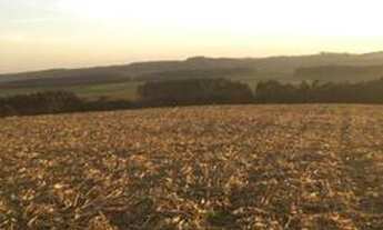 Imagem 3: Oportunidade rarissima no pr