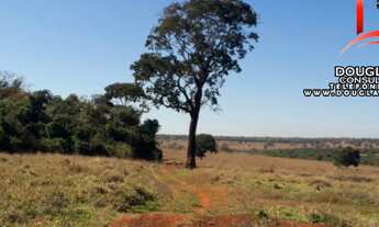 Imagem 6: Fazenda Na Região de Gurinhatã MG