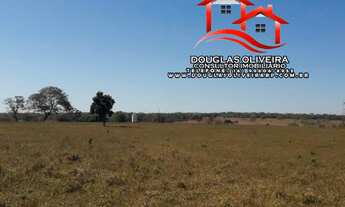 Imagem: Fazenda Na Região de Gurinhatã MG