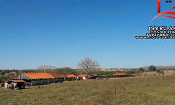 Imagem 3: Fazenda Na Região de Gurinhatã MG