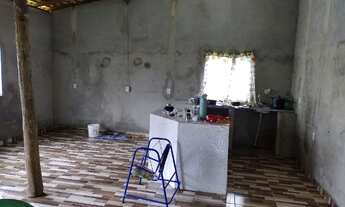 Imagem 6: Sítio 14,29 hectares com açaizal de 18 mil pés por R$300 mil