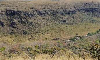 Imagem: VENDE-SE LINDA CHACARA COM ACESSO AO RIO