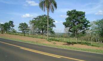 Imagem 3: SITIO NO TREVO DE POLONI INIGUALÁVEL NA REGIÃO 24,5 ALQ