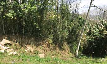 Imagem 5: Terreno para venda com 1.150m², em boa topografia no Cônego - Nova Friburgo - RJ