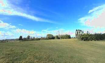 Imagem 7: Sítio com 9,7h casa, quiosque, piscina, galpão em Triunfo - Aceito veículos ou imóveis