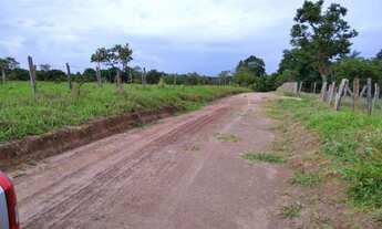 Imagem 5: Novo Gama (Vale das Andorinhas) chácaras 3.300m² planas R$ 39.500