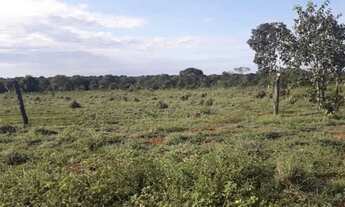 Imagem 3: 231 Alqs Região de Safra e Safrinha Ótima em Tudo Vale do AraguaiaTO