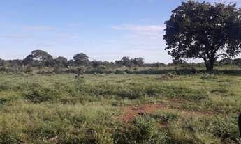 Imagem 4: 231 Alqs Região de Safra e Safrinha Ótima em Tudo Vale do AraguaiaTO