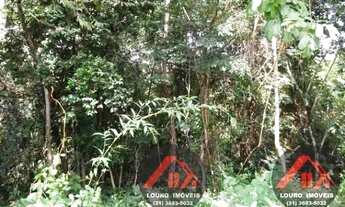 Imagem 4: Sitio 5.000m² a 4km do asfalto Jaboticatubas(Temos varias opções)