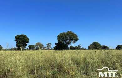 Imagem 10: Fazenda de 179 alqueires (871 hectares) em São Miguel do Araguaia - GO