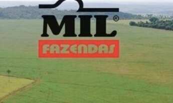 Imagem 7: 82 Alq. (397 Há). Terra Cultura c/ Soja e Pasto. 50 km de Goiânia