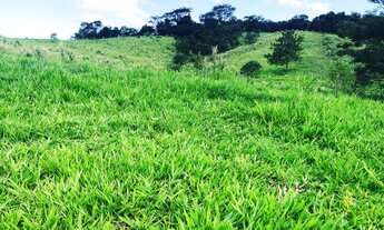 Imagem 6: Terreno para chácara 60 minutos da Capital acesso na Raposo Tavares, parcelado até 48x bol