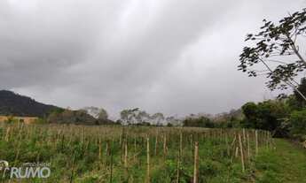 Imagem 3: Lindo sítio a venda em Rodeio, no Bairro Rio Morto