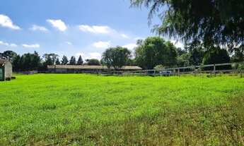 Imagem 4: BORDA DO CAMPO PIRAQUARA COM VISTA PARA SERRA