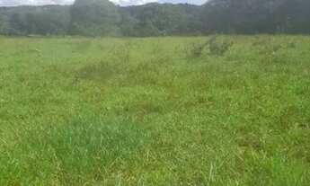 Imagem 7: Fazenda em Cromínia!!!