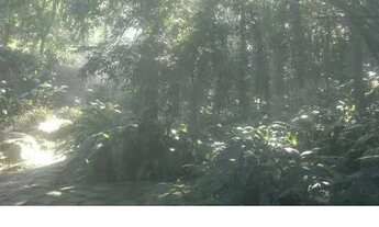 Imagem 8: JCI - LINDA Casa com 270m², terreno 2.000m² com 4 quartos Serra Grande -Itaipu Niterói