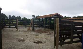 Imagem 2: Venda Fazenda Nossa Senhora Aparecida