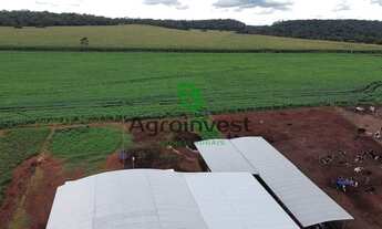 Imagem 5: Fazenda no Município de Vianópolis - GO