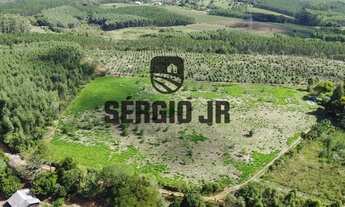 Imagem 7: Sítio com 7,9h, casa, cabana, galpão, piscina e arroio em Triunfo