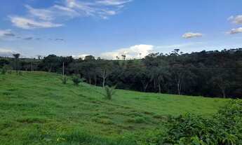 Imagem 6: Sitio em capitinga 44 alqueires 7.480.000.00 ( isa