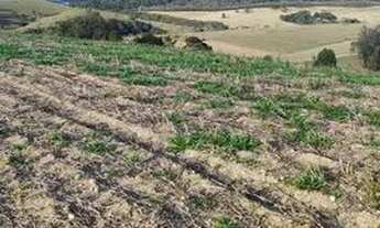 Imagem 3: Lote/Terreno para venda possui 500 metros quadrados em Jardim Colonial - Atibaia - SP