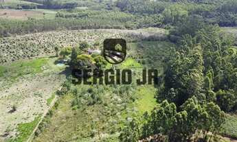 Imagem 2: Sítio com 7,9h, casa, cabana, galpão, piscina e arroio em Triunfo