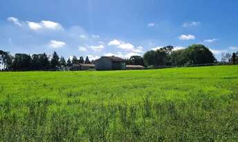 Imagem 7: BORDA DO CAMPO PIRAQUARA COM VISTA PARA SERRA