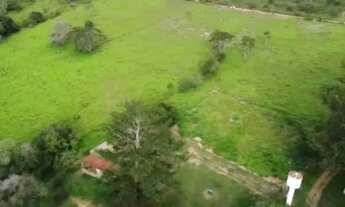 Imagem 4: Fazenda 12 alqueires entre Girassol e Cocalzinho de Goiás