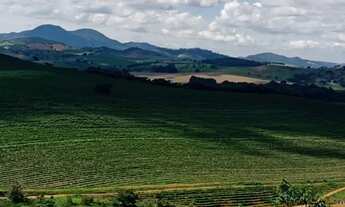 Imagem 6: Fazenda de Café em Guapé MG - Dim
