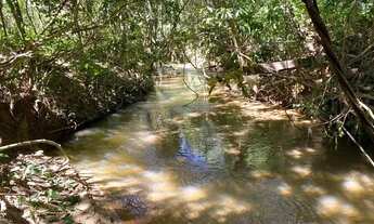 Imagem 2: Chácaras de 20 mil mt a venda 3km da cidade de Cromínia!