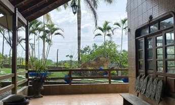 Imagem 3: Vende se sítio no Ramal do Urubui, km 4.5, Presidente Figueiredo