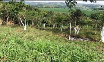 Imagem 3: Vendo uma Chácara em Bonfinopolis