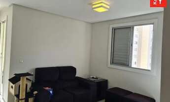 Imagem 5: SãO BERNARDO DO CAMPO - Padrão - Planalto