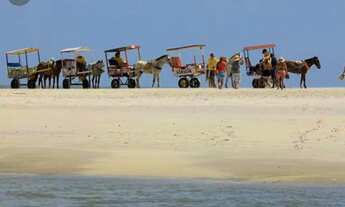 Imagem: Terreno na Ilha de Algodoal