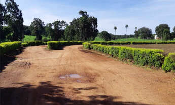 Imagem: Fazenda à venda em Conceição do Tocantins