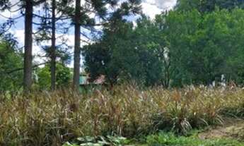 Imagem 2: Pesque pague à venda Oportunidade ramo piscicultura