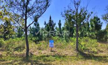 Imagem 2: Terreno a venda em Balneário Gaivota