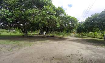 Imagem 4: Sítio com Sete tarefas e meia na matinha