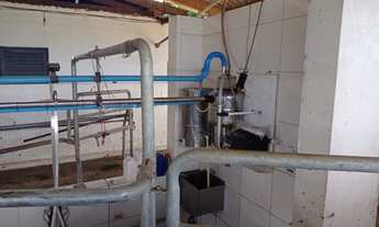 Imagem 4: Rancho 42 hectares em Terenos MS