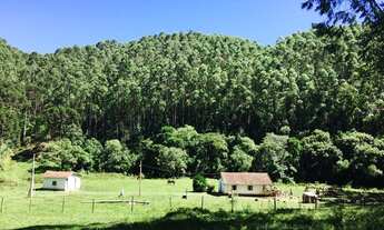 Imagem 7: Sitio 67 Alqueires Ribeirão Branco próximo a Itapeva - SP