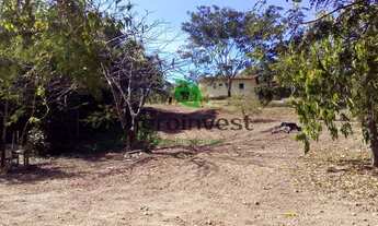 Imagem 5: Fazenda em Ipameri - GO